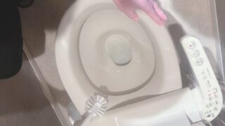 toilet-cleaning
